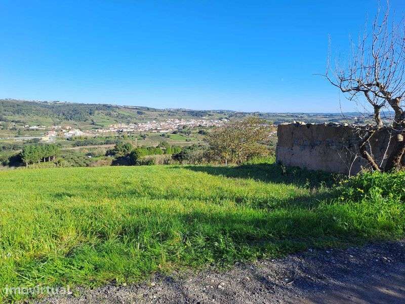 Ruínas para reconstrução com vista panorâmica - Roliça, Bombarral - Grande imagem: 2/12