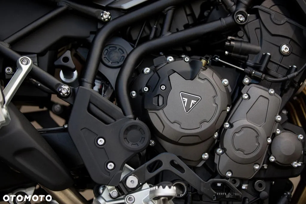 Triumph Tiger - 10