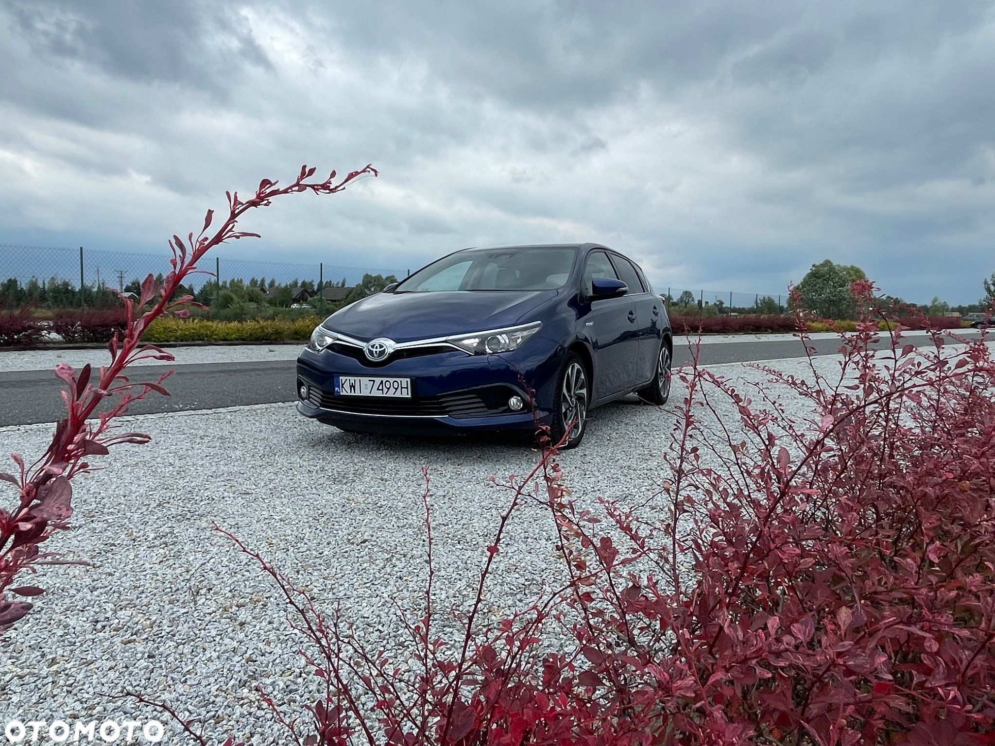 Toyota Auris - 1