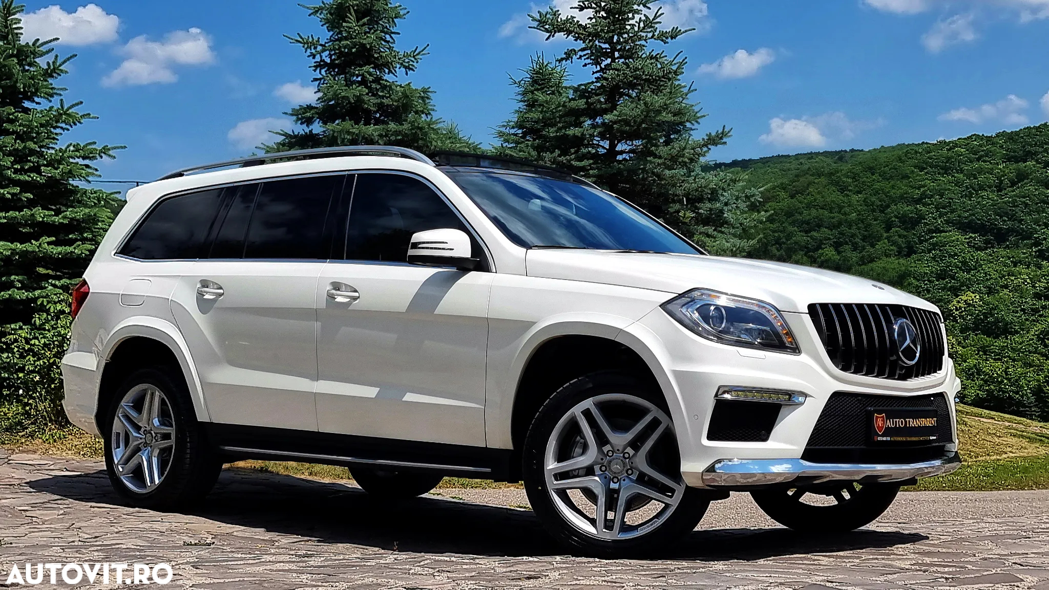 Mercedes-Benz GL 350 4MATIC BlueTec Aut. - 17