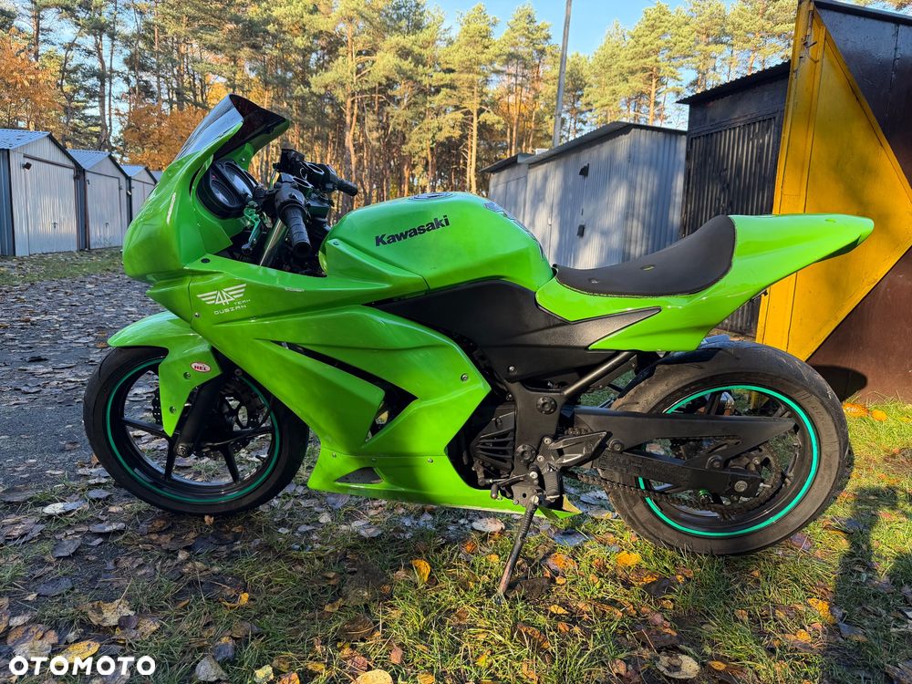 Kawasaki Ninja 250R - 1