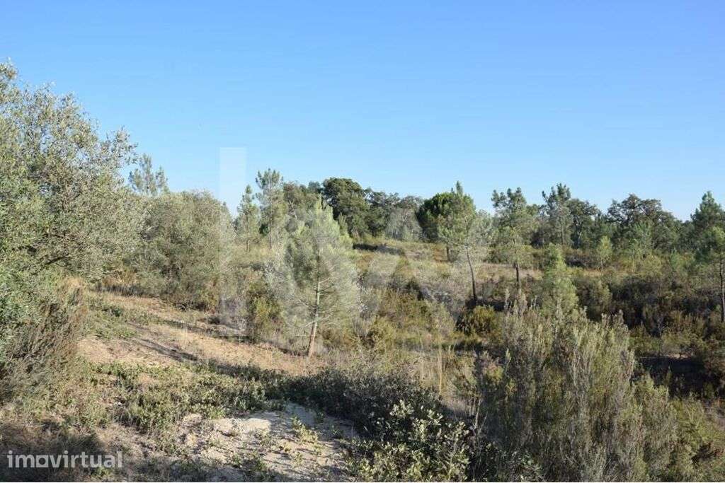 Lote de Terreno Rústico com Cerca de 40 Hectares na Freguesia da Ota – - Grande imagem: 2/33