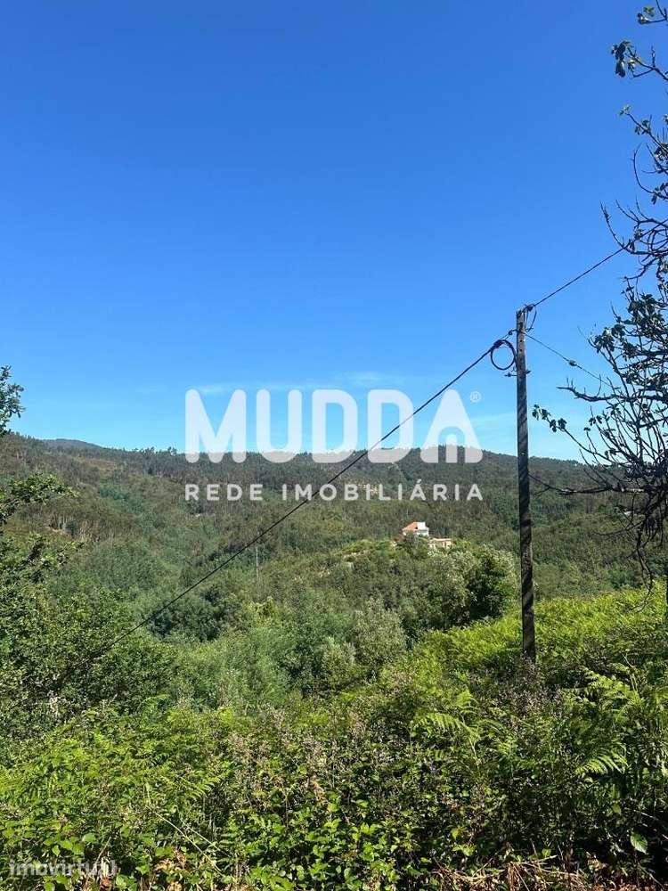Quinta com ruína em Fermedo - Grande imagem: 3/28