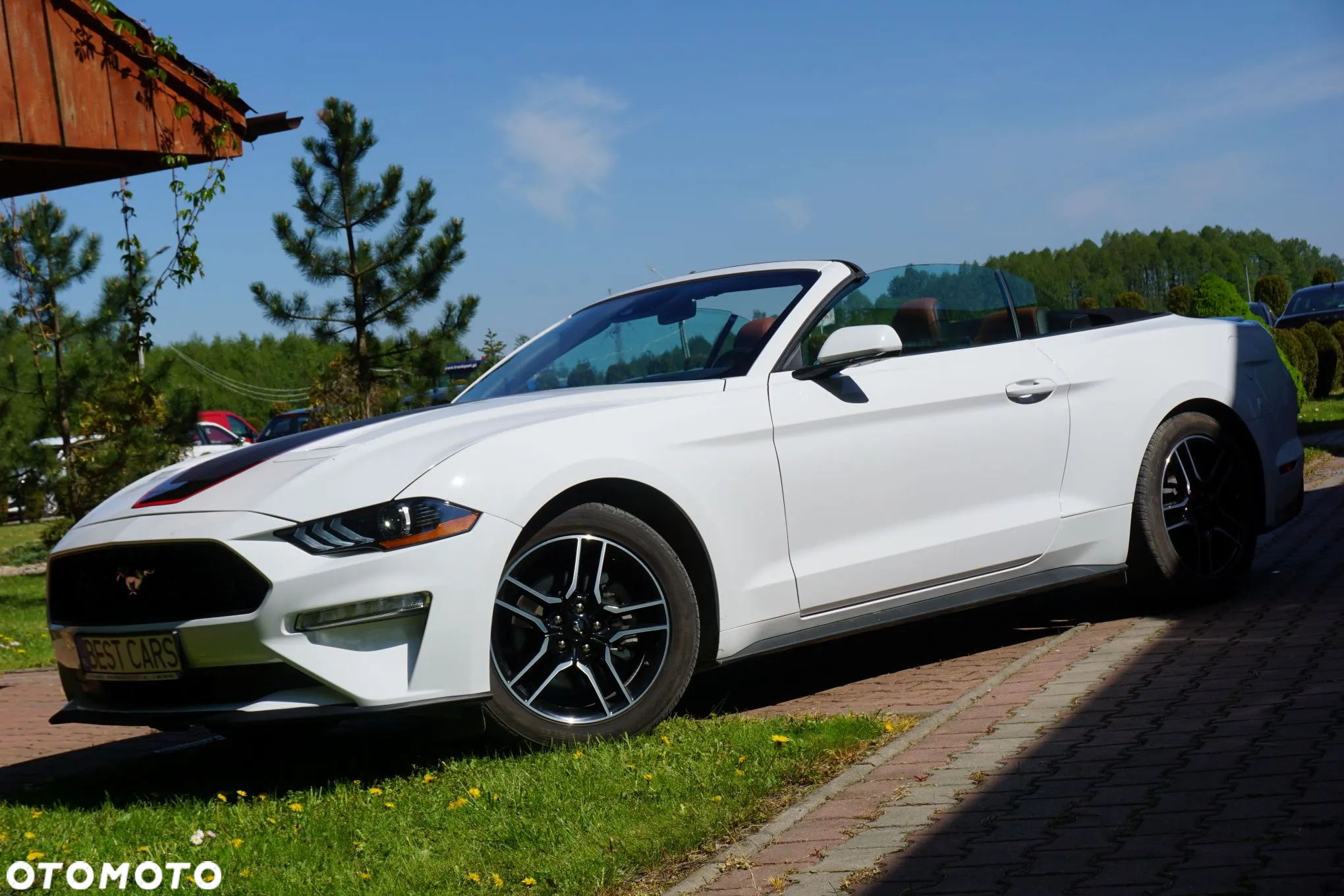 Ford Mustang Cabrio 2.3 Eco Boost - 19