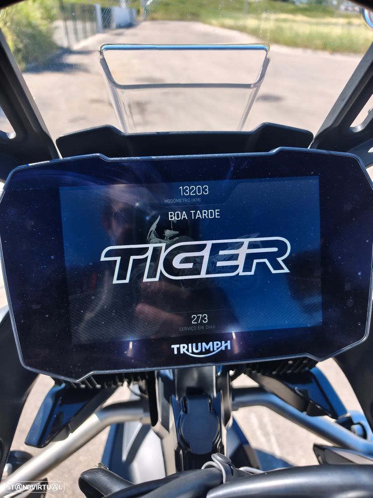 Triumph Tiger GT PRO - 14