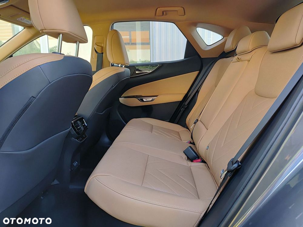 Lexus NX - 12