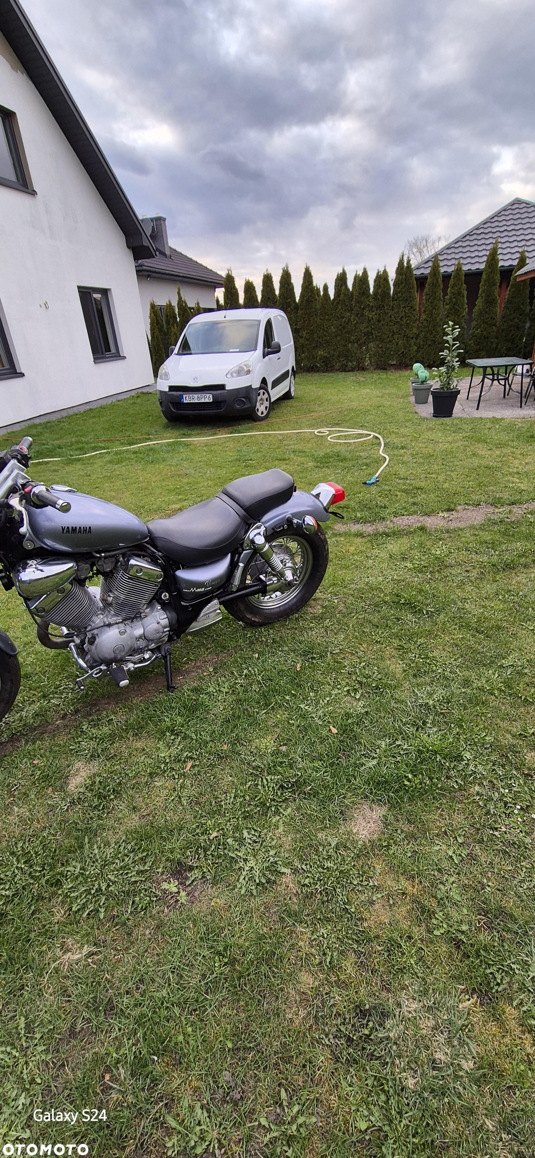 Yamaha Virago - 6