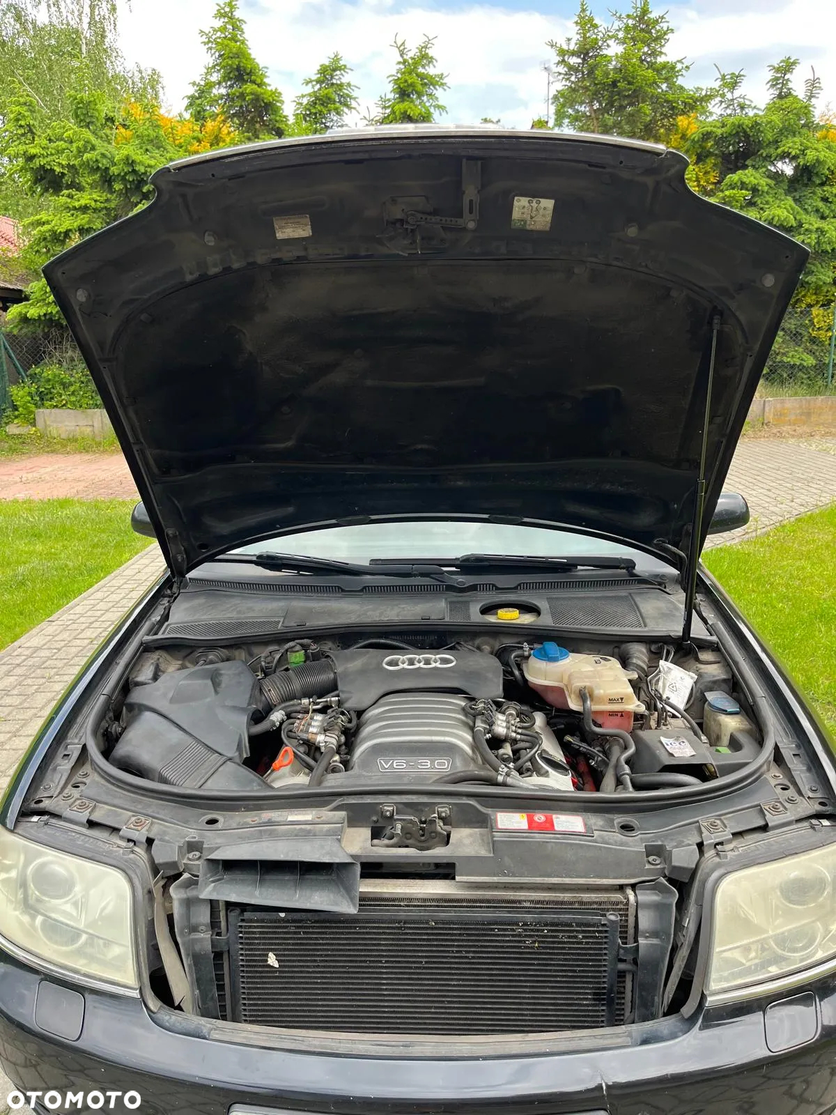 Audi A6 - 19