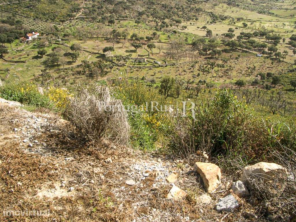 Propriedade de 9ha inserida no P. N. Serra de S. Mamede - Grande imagem: 5/8