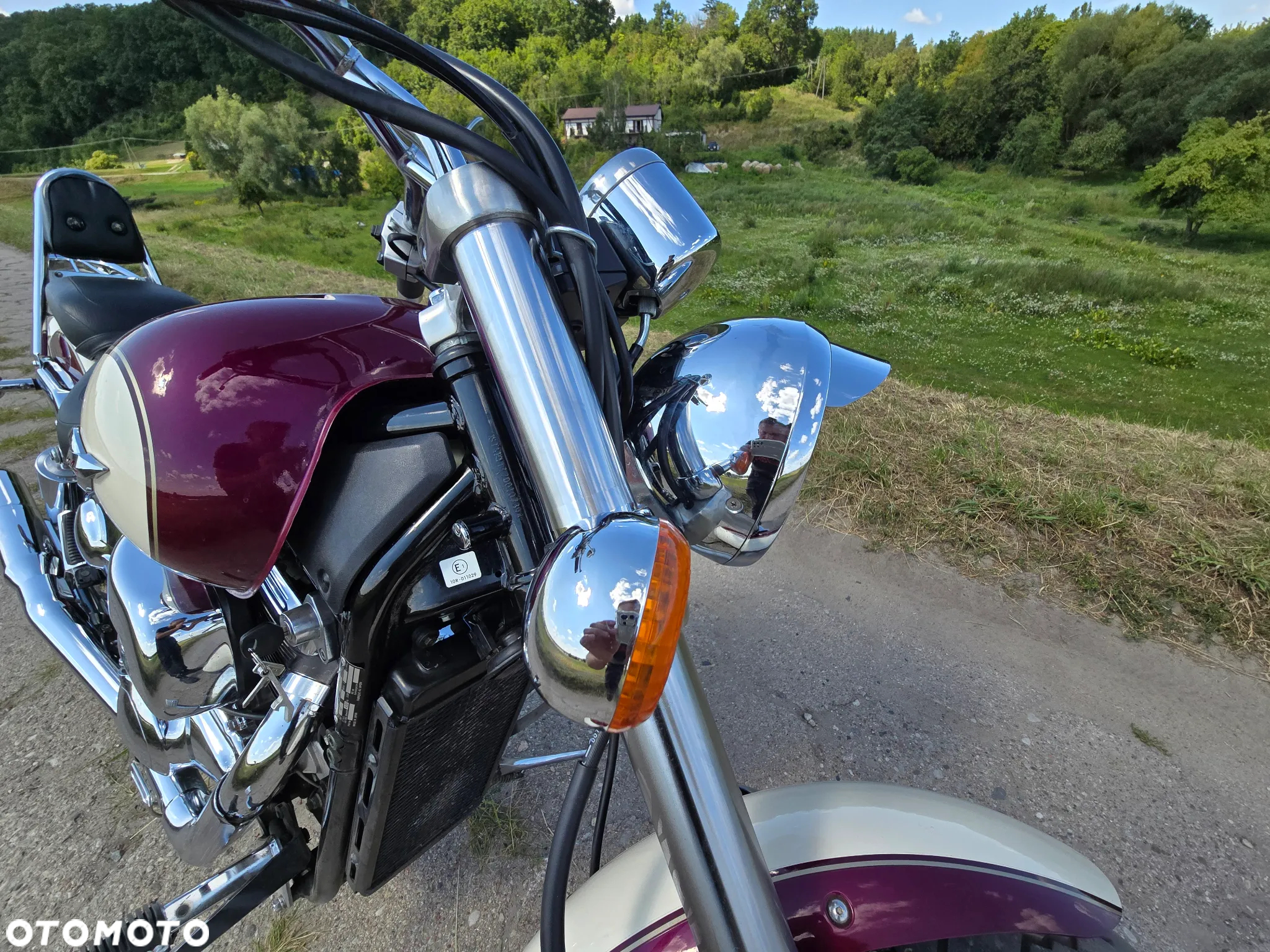 Suzuki Marauder - 6
