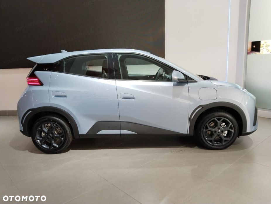 BYD Dolphin Surf - 2