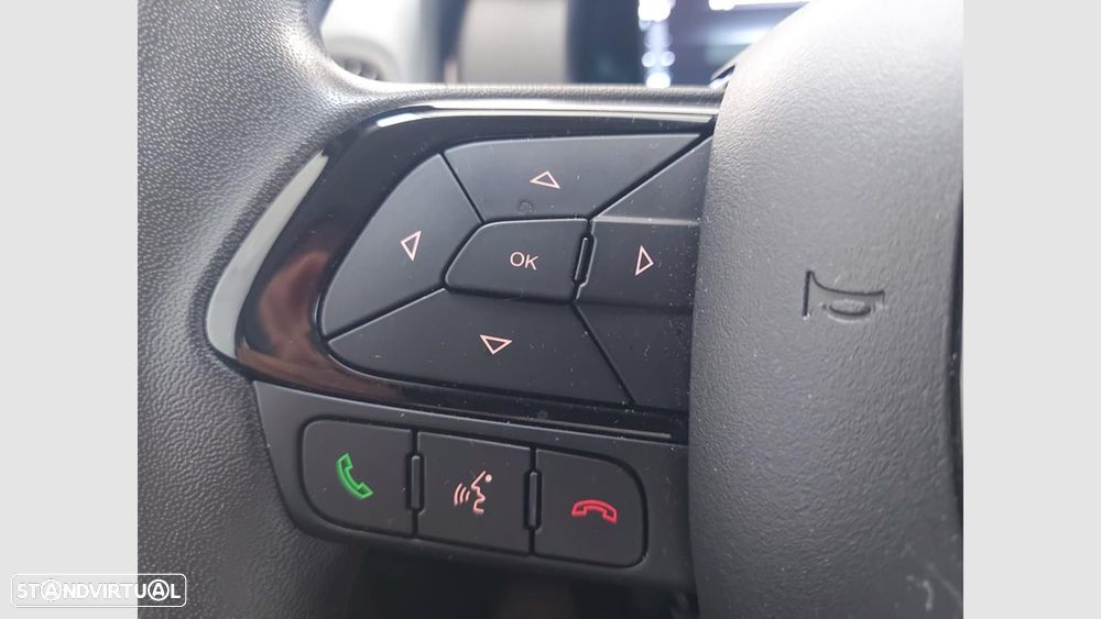Fiat Panda Pandina 1.0 Hybrid - 14
