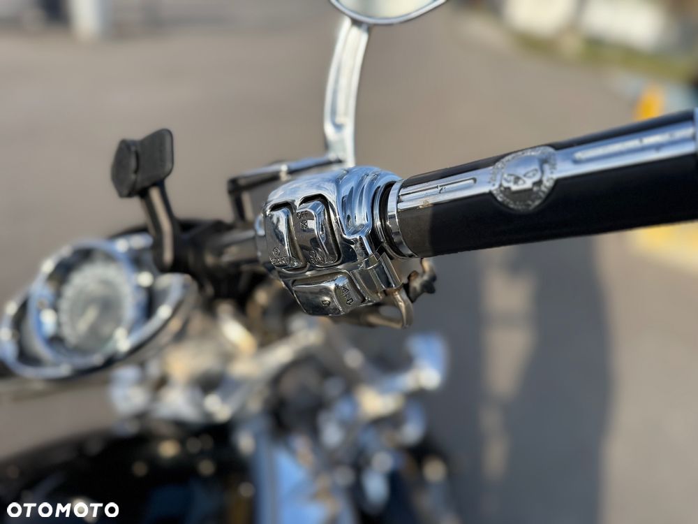 Harley-Davidson Softail V-Rod - 8