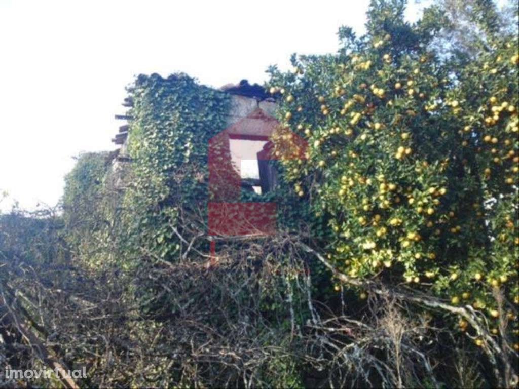 Vende-se Moradia, Vilarinho - Grande imagem: 3/9