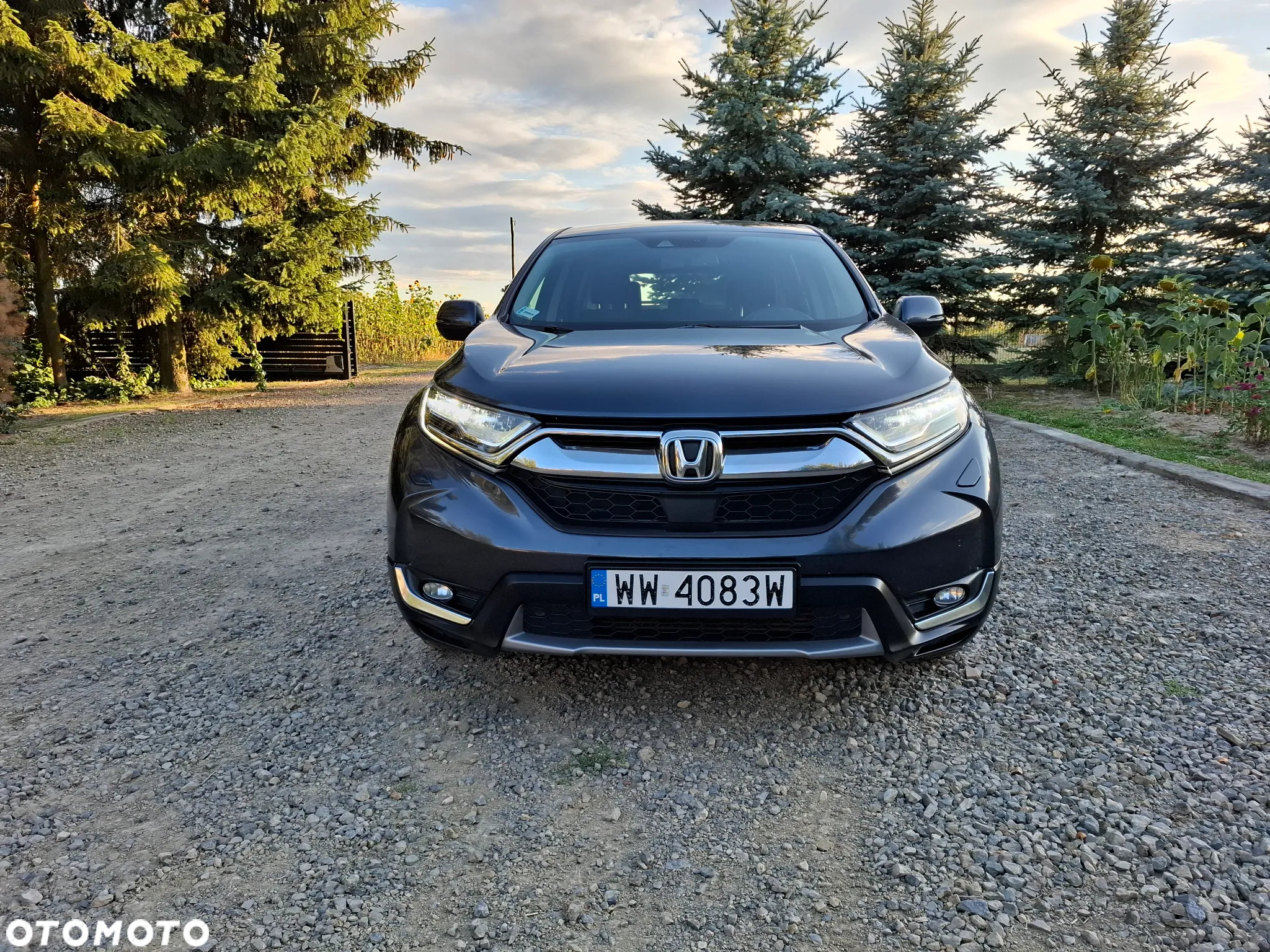 Honda CR-V 1.5 Elegance (Honda Connect+) - 3
