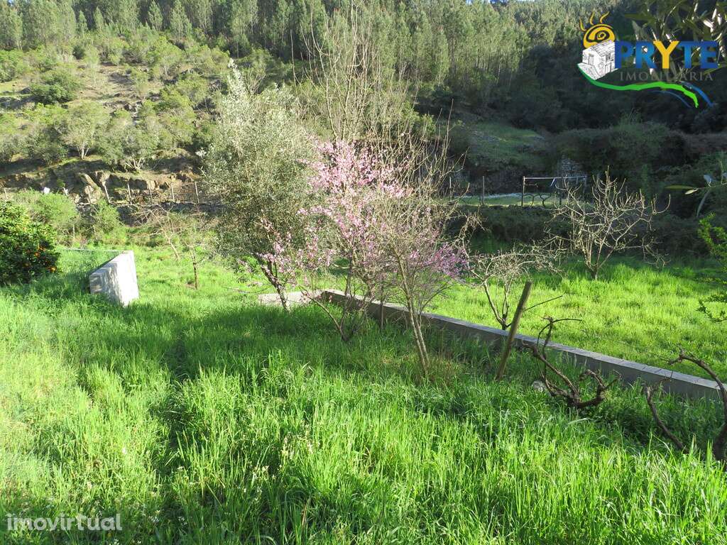 Terreno de cultivo a confinar com a Ribeira da Tamolha - Grande imagem: 5/14