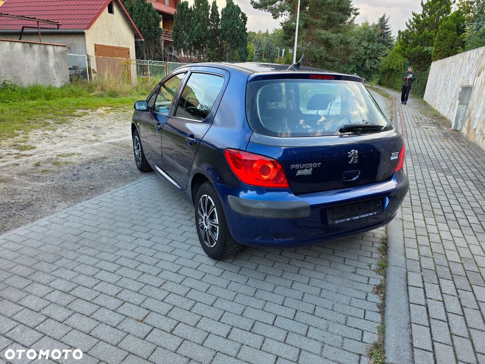 Peugeot 307 - 5