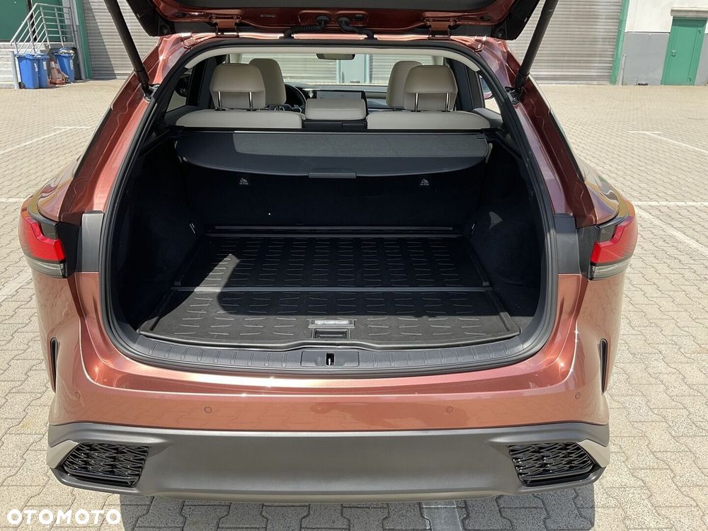 Lexus RX - 17