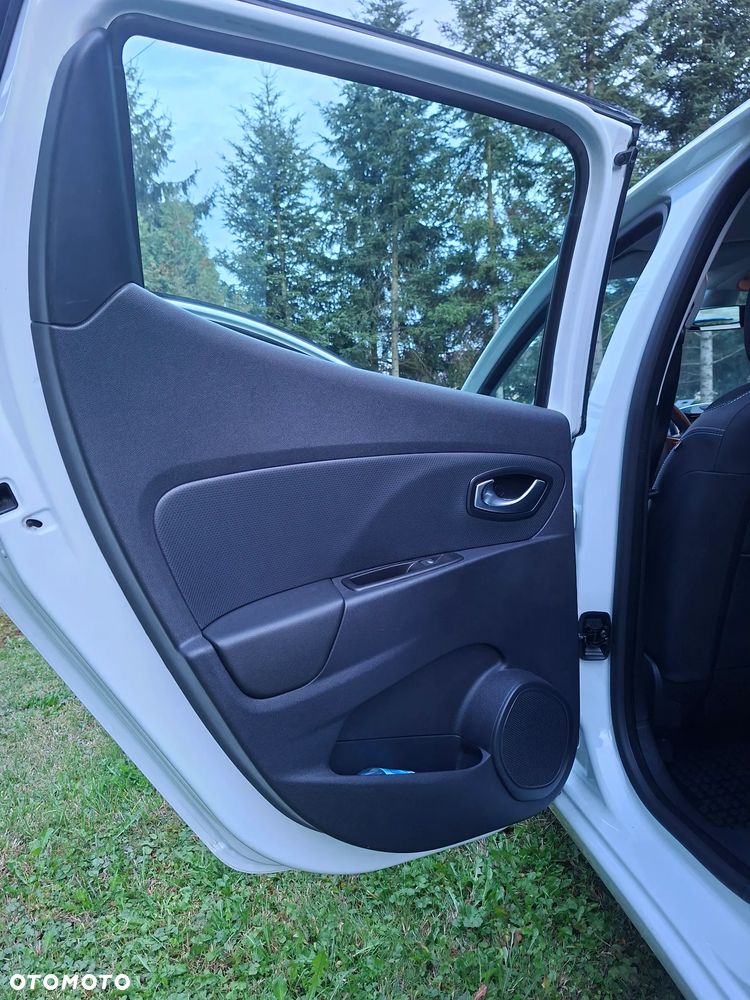 Renault Clio - 19