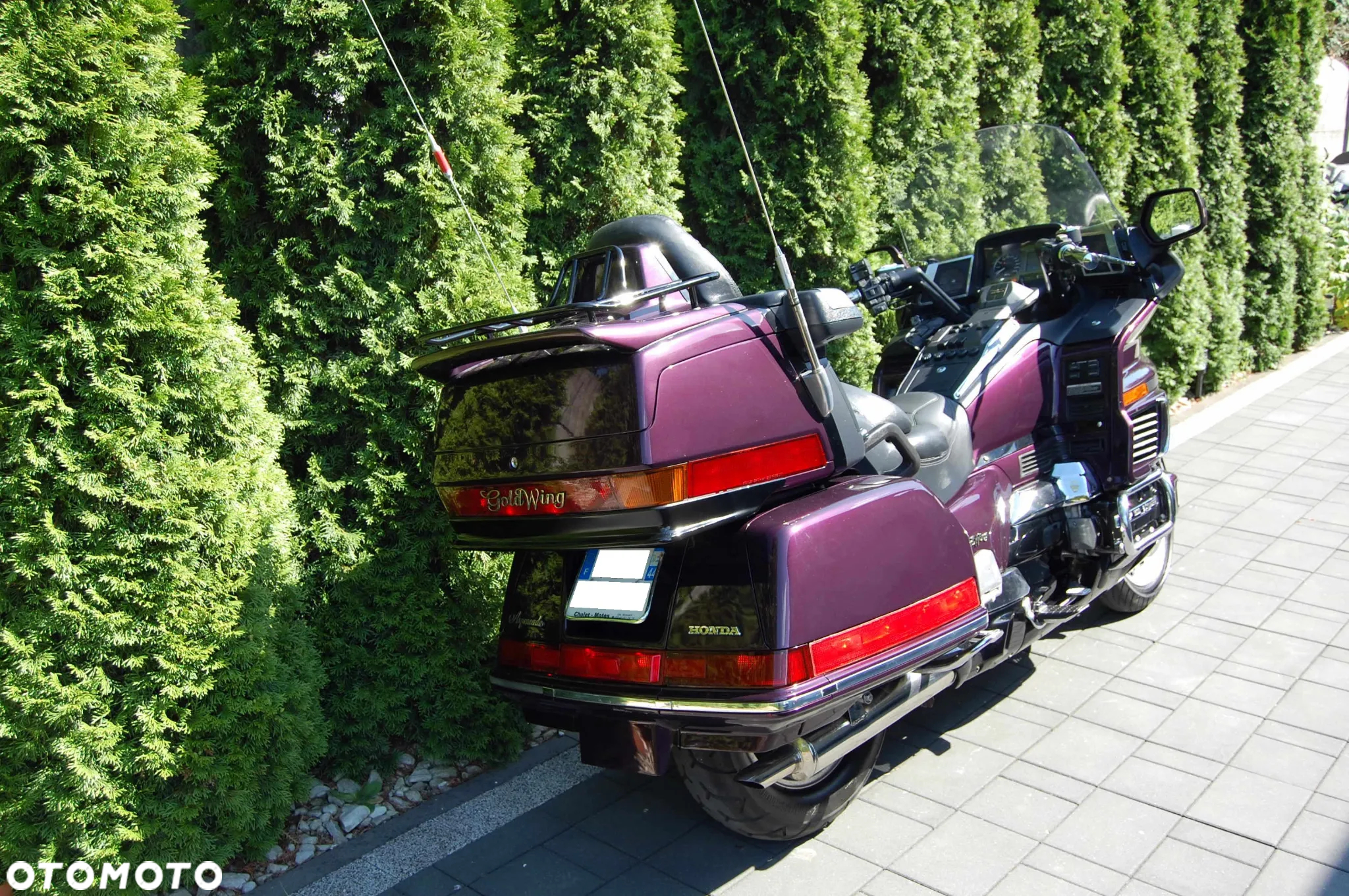 Honda GL - 3