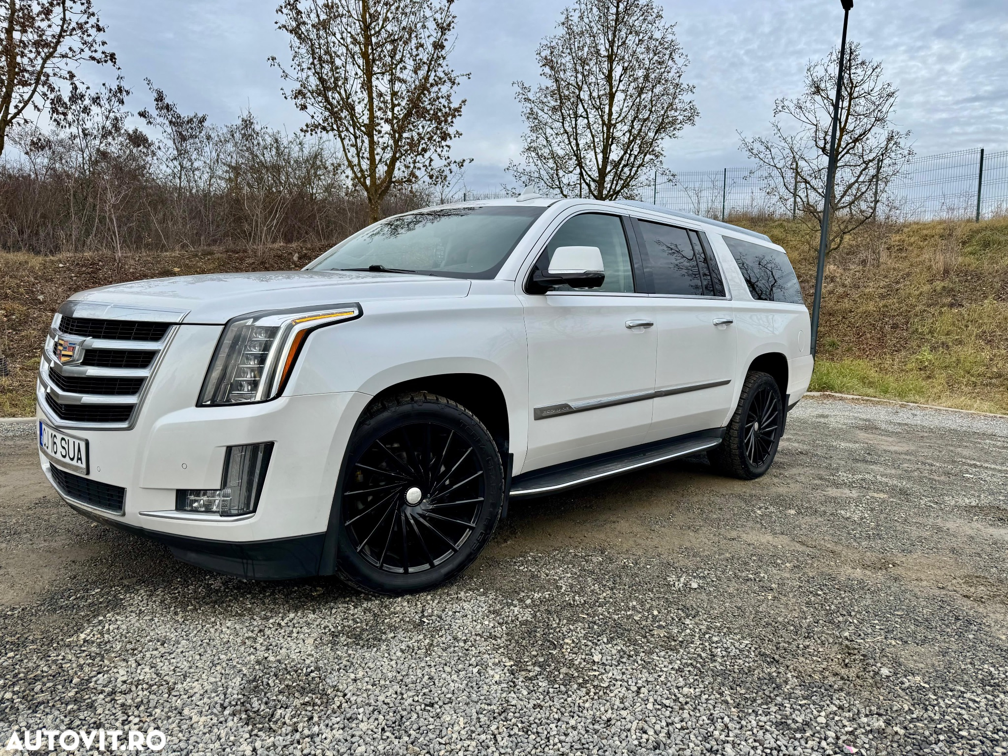 Cadillac Escalade 6.2 V8 AWD AT Platinum - 20