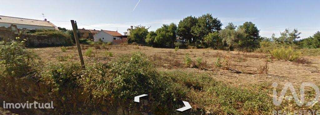 Terreno em São Martinho do Bispo e Ribeira de Frades - Grande imagem: 3/5