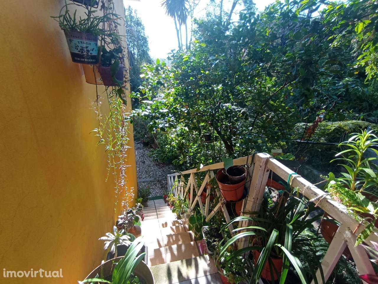 Quinta com moradia T3 - próximo de Aveiro. - Grande imagem: 4/42