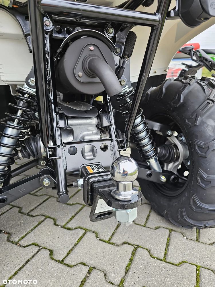 Kawasaki Brute Force