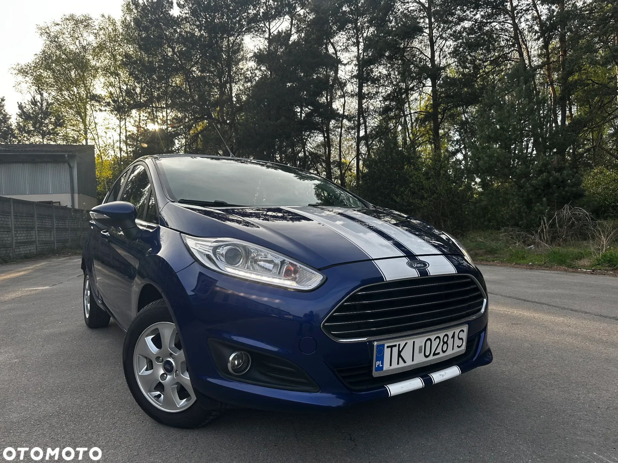 Ford Fiesta - 1