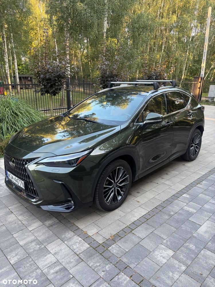 Lexus NX - 2