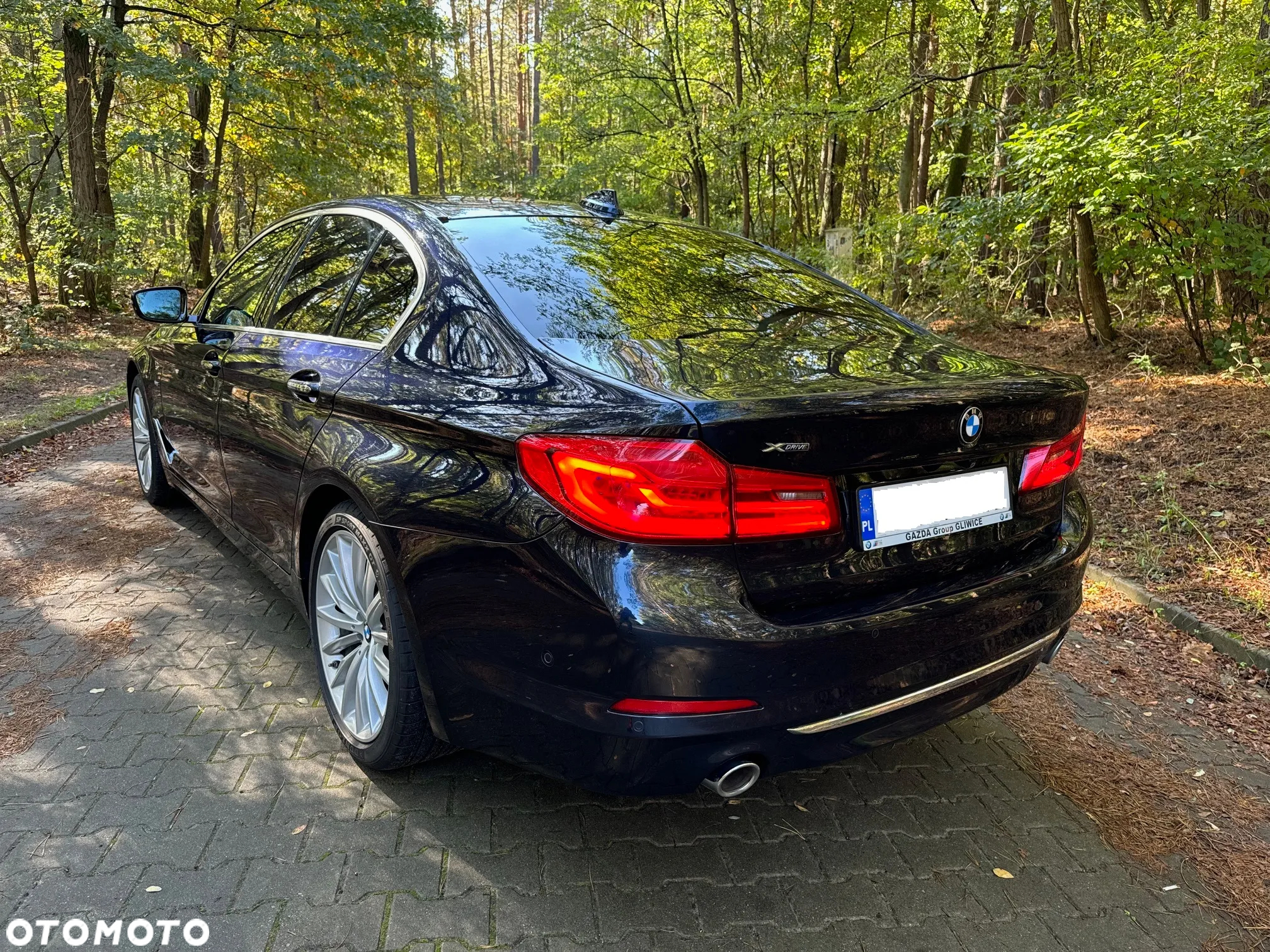 BMW Seria 5 520d xDrive Luxury Line - 8