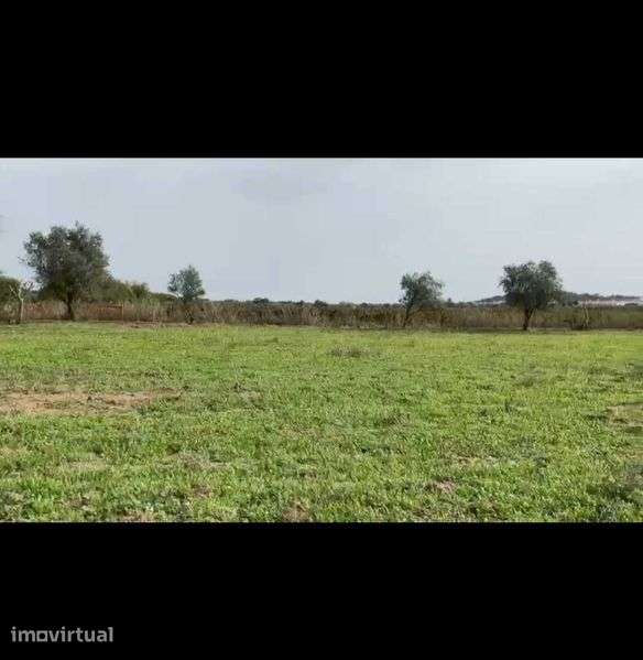 Excelente oportunidade  de ter um quinta junto au castelo de Monsaraz - Vista 4
