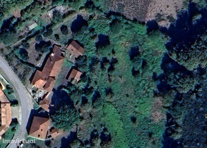 Vende-se Quinta com 7 hectares com localização privilegiada. - Grande imagem: 2/11