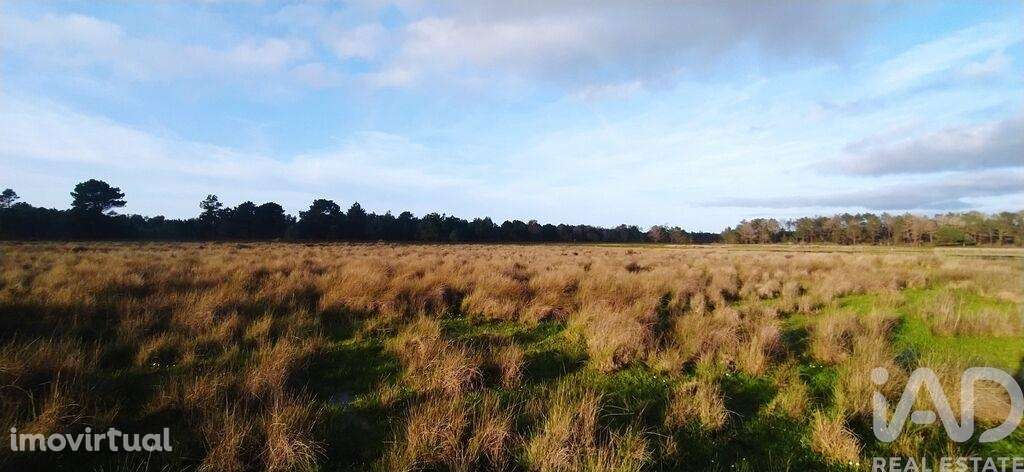 Terreno T1 em Vila do Bispo e Raposeira de 17850,00 m2 - Grande imagem: 4/8