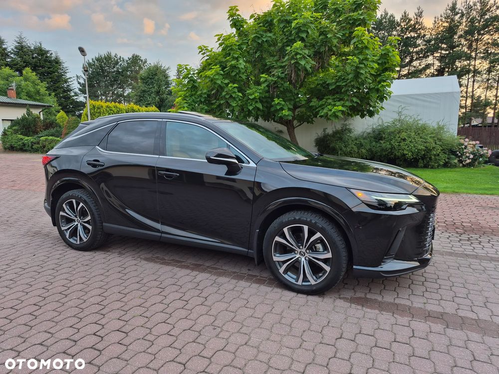 Lexus RX 350h (hybrid) Business - 8