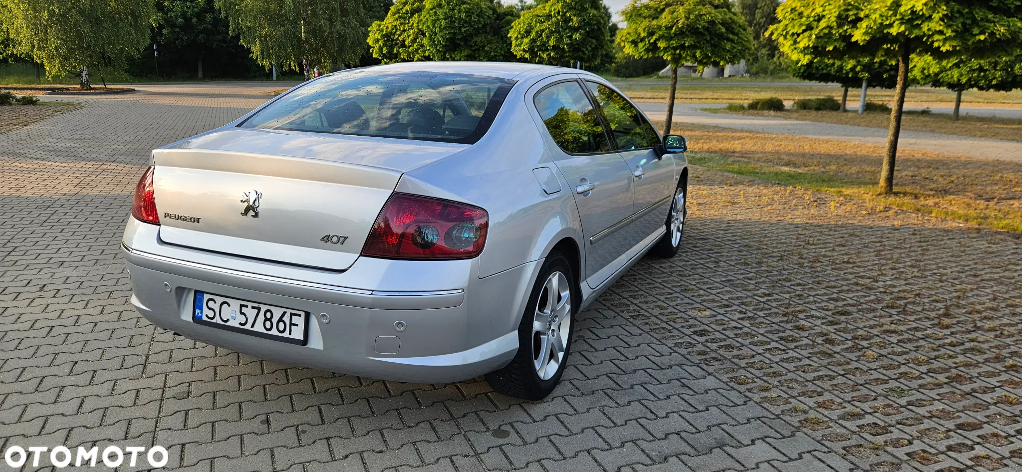 Peugeot 407 2.0 HDi Premium - 3