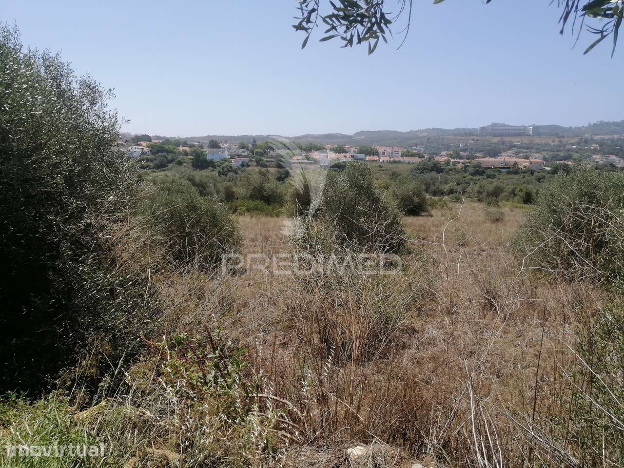 Terreno 2.480 m² com vista deslumbrante para a Serra de Sintra | Lo... - Grande imagem: 3/11