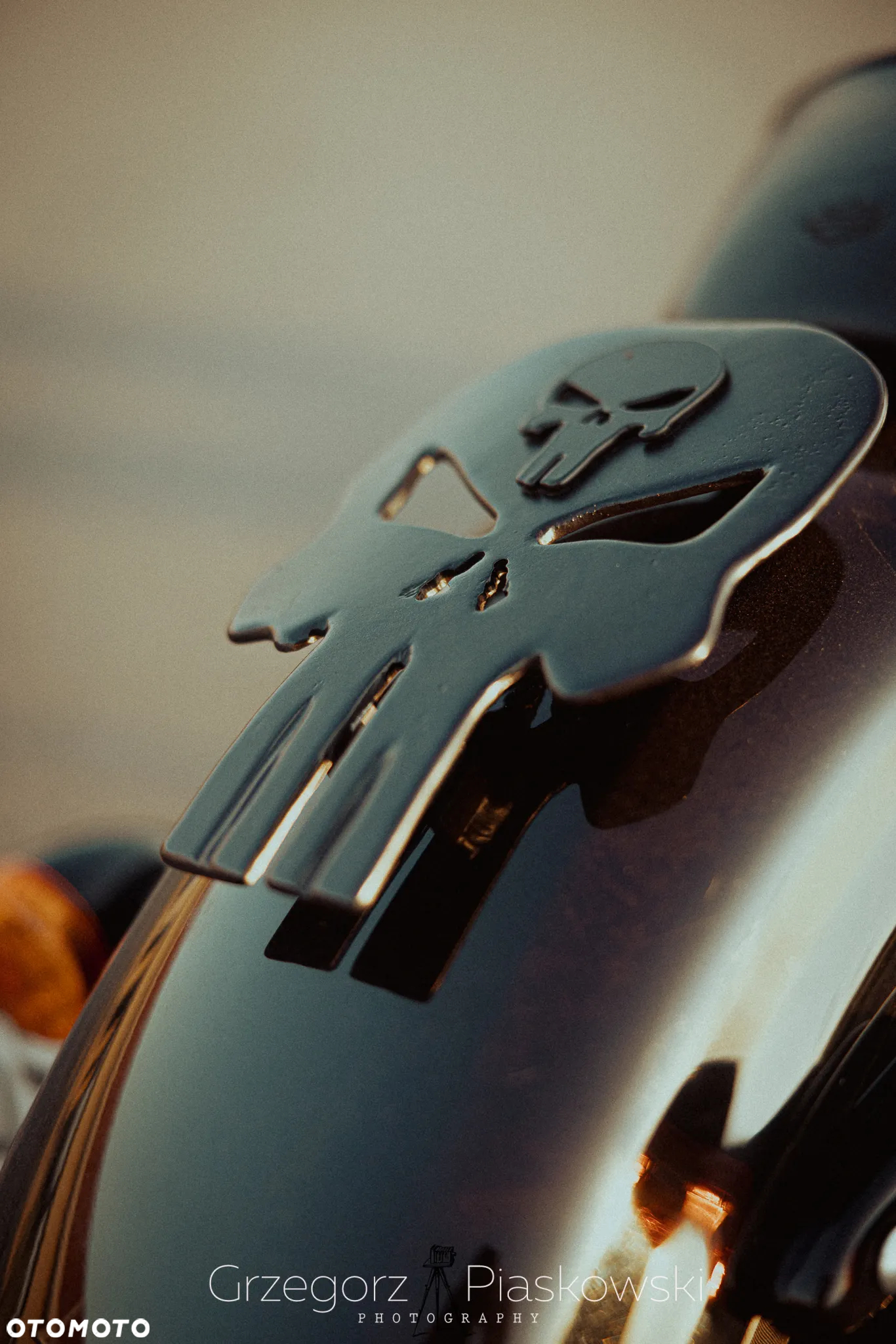 Harley-Davidson Sportster Iron 1200 - 4