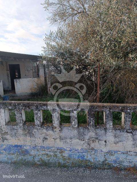 Casa com Logradouro na Vendinha para recuperar - Grande imagem: 2/14