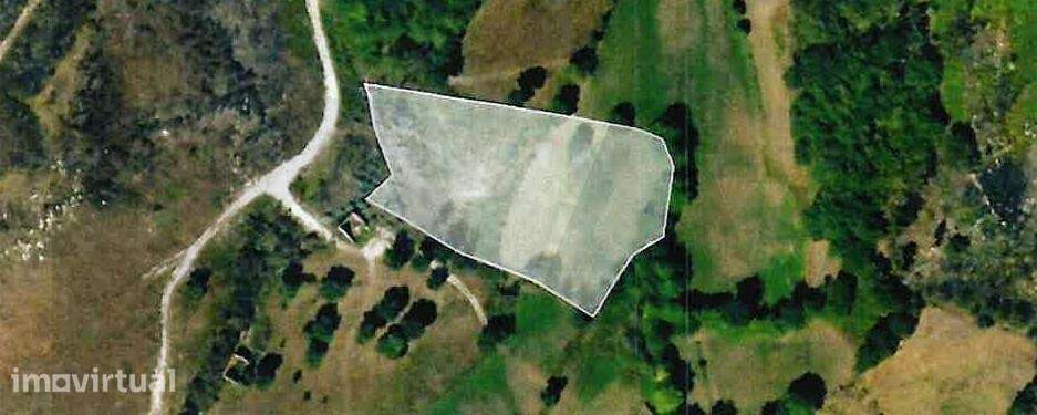 Terreno Rústico com 4.500 m2 em Rio Douro, Cabeceiras de Basto – Oport - Grande imagem: 5/10