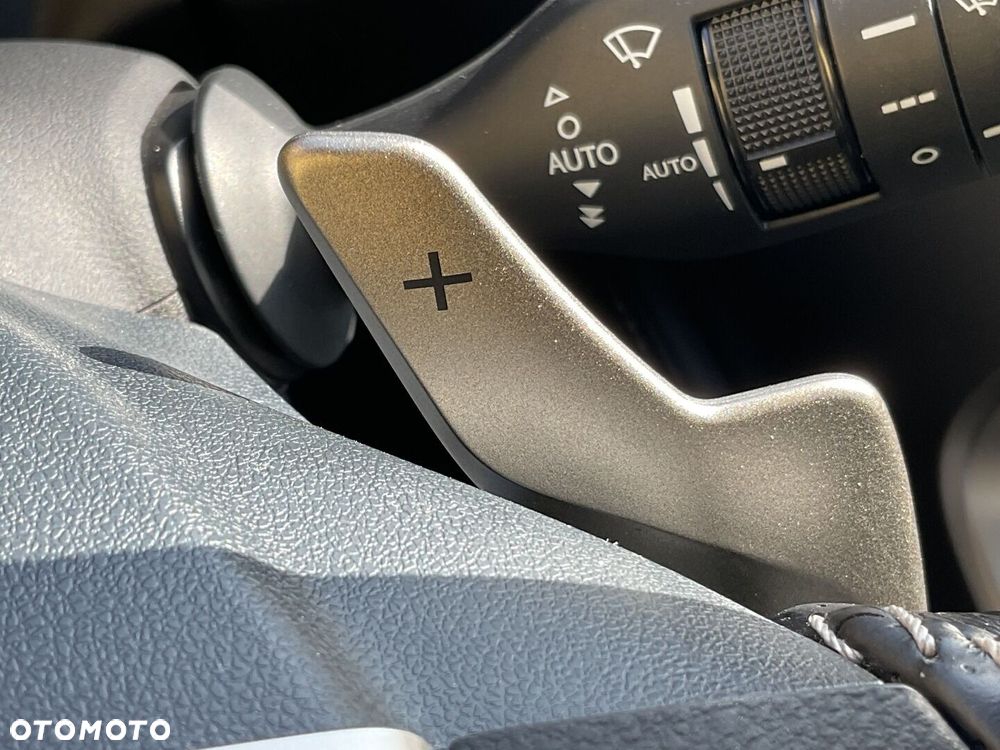 Lexus NX 300h F Sport Edition AWD - 28