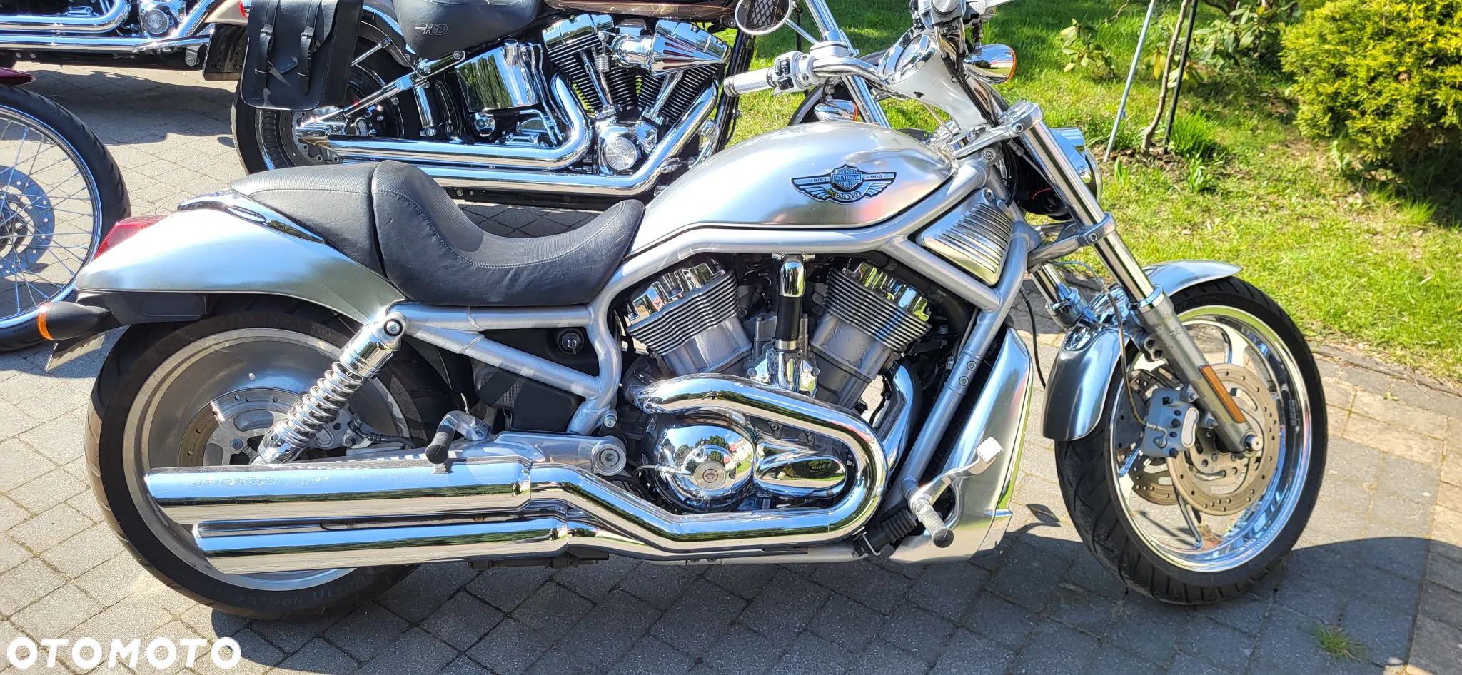 Harley-Davidson V-Rod Street Rod - 1