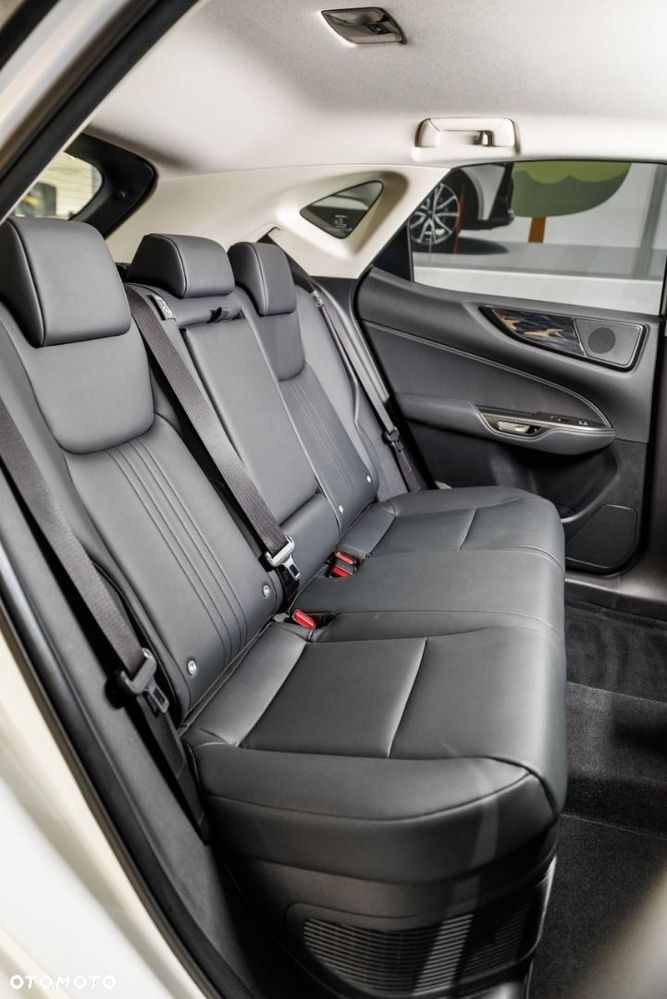 Lexus NX - 30