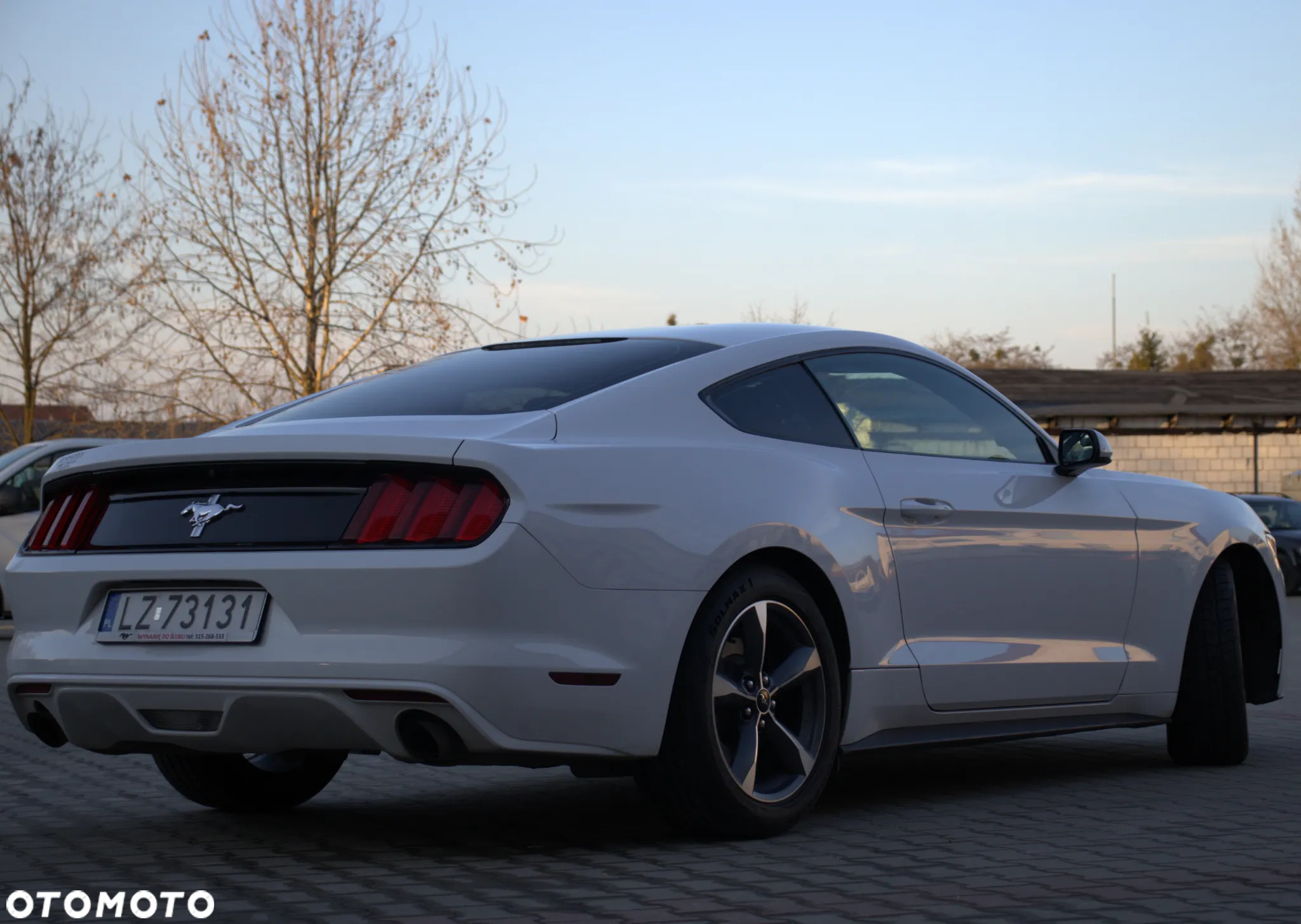 Ford Mustang - 4