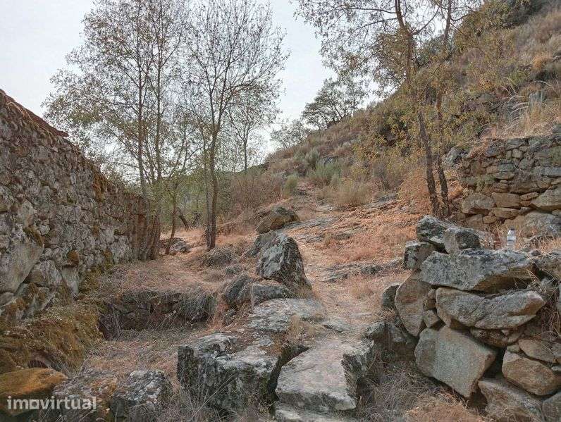 Terreno Lamego com Moinho - Grande imagem: 5/12