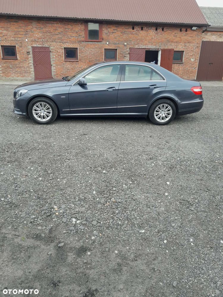 Mercedes-Benz Klasa E 250 CDI DPF BlueEFFICIENCY 7G-TRONIC Elegance - 10