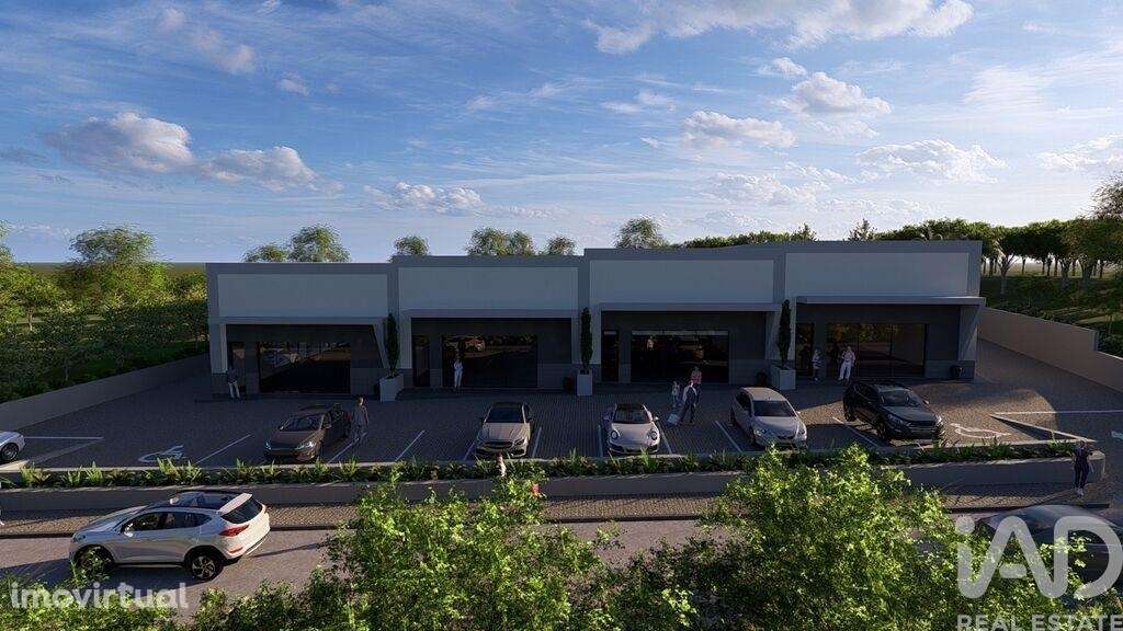 Loja / Estabelecimento Comercial em Almancil de 300,00 m2 - Grande imagem: 2/12