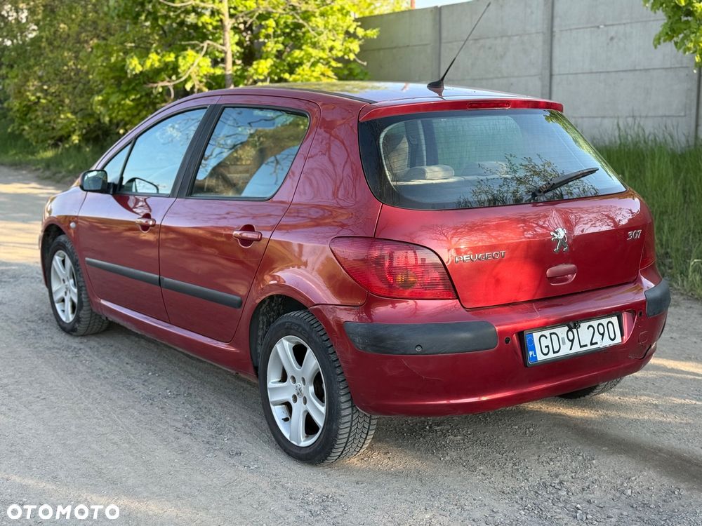 Peugeot 307 2.0 XS Class - 4