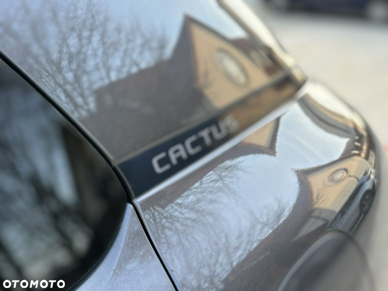 Citroën C4 Cactus - 28