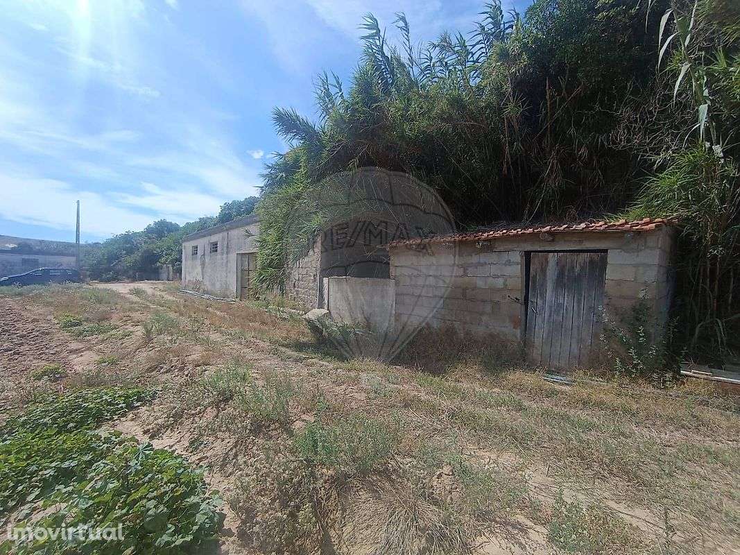 Arrecadação  para venda - Grande imagem: 3/5